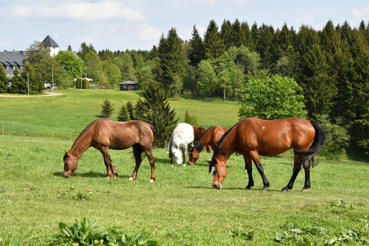 Landhotel Altes Zollhaus Hermsdorf  Esterno foto